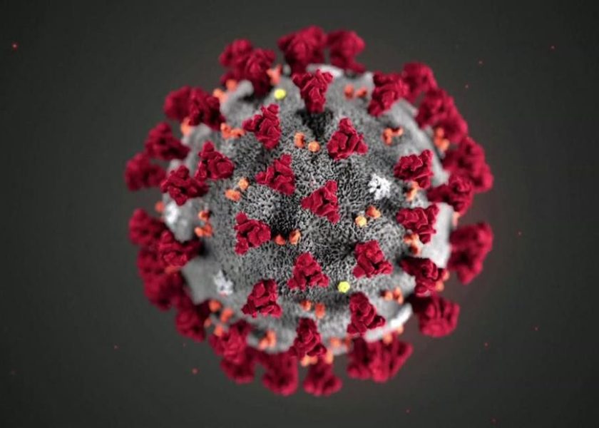 coronavirus