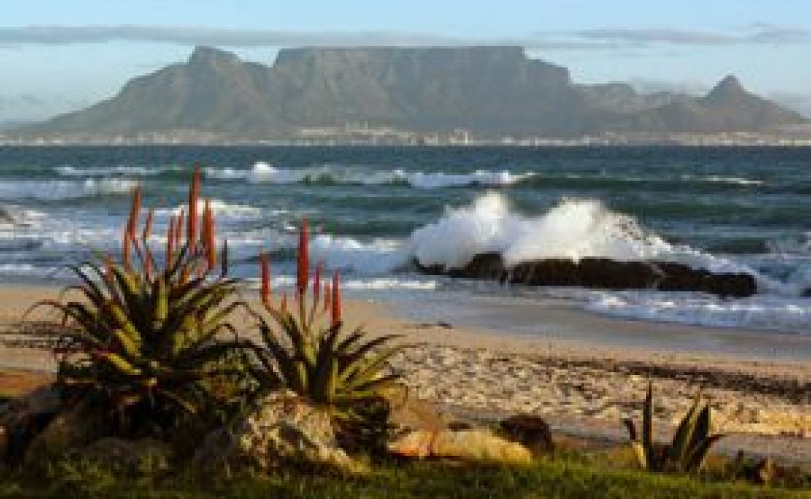 View-of-table-mountain-cape-town-diversity-300×199-1