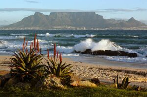 View-of-table-mountain-cape-town-diversity-300×199-1