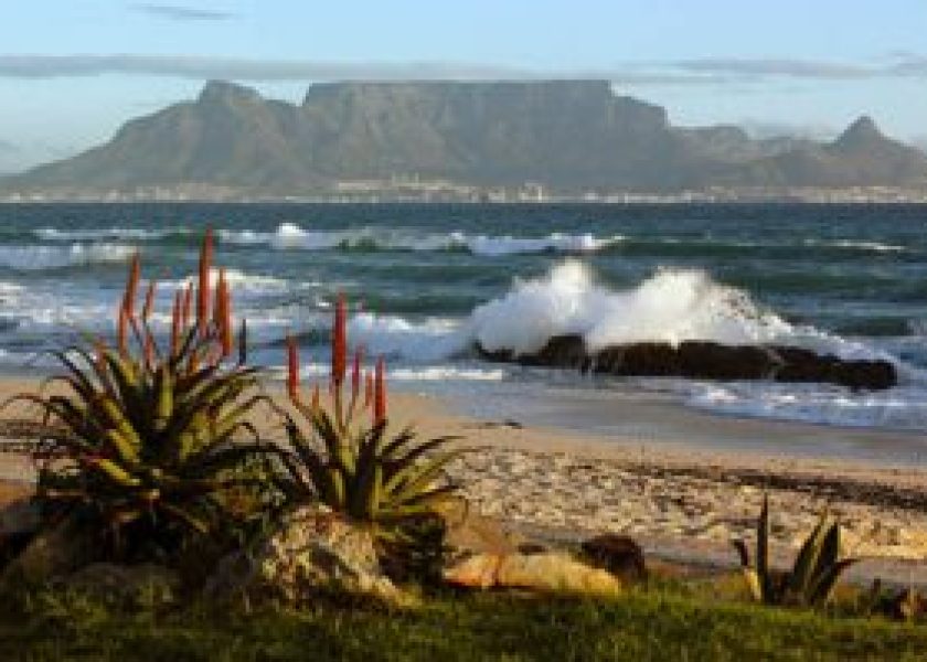View-of-table-mountain-cape-town-diversity-300×199-1